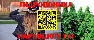 jwh Малоярославец