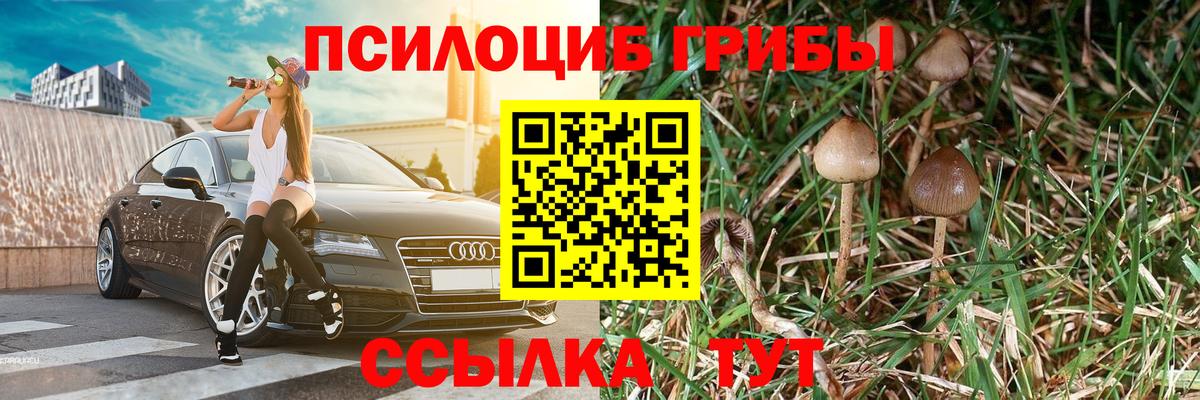 Тула  Псилоцибиновые грибы Psilocybine cubensis  Вход с VPN  Галлюциногенные грибы мицелий 