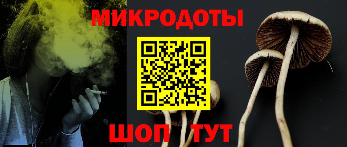Галлюциногенные грибы GOLDEN TEACHER Тула
