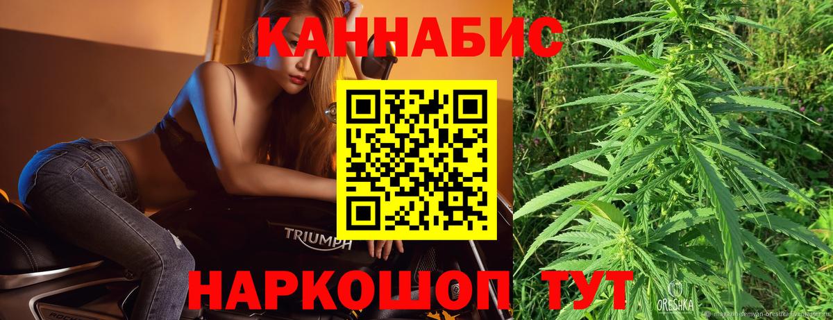 Бошки Шишки конопля Тула